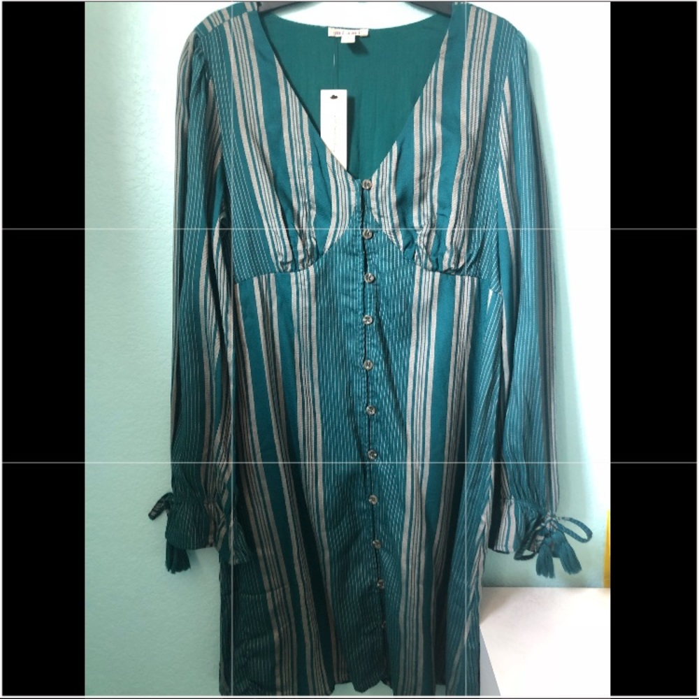 Green striped francesca’s dress